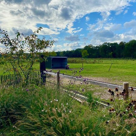Luxe Finse Kota Van De Zandhoef Eersel Exterior foto